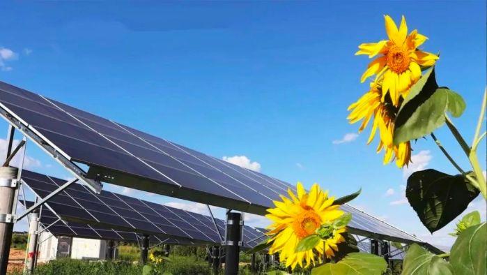 WechatIMG141 WechatIMG141